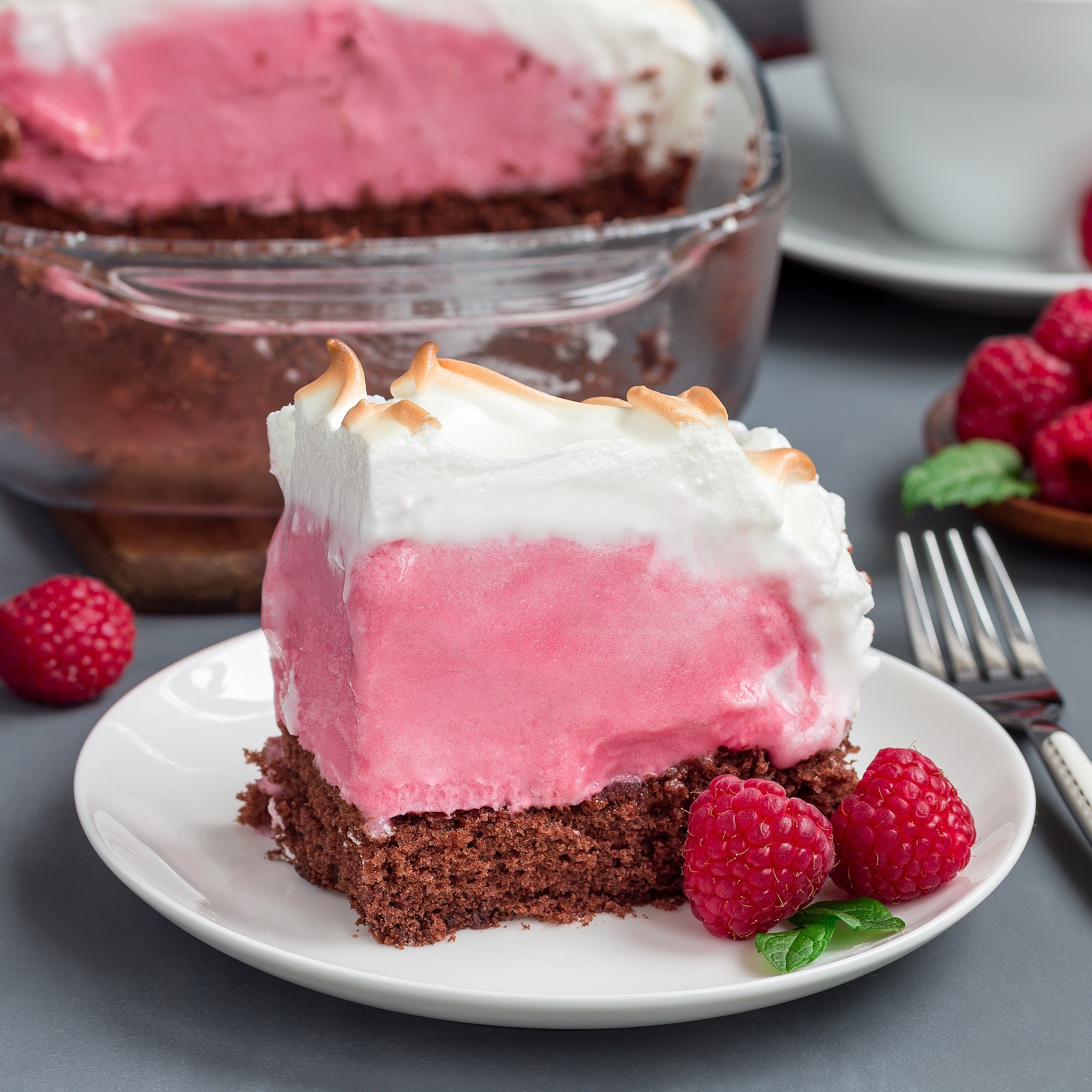 piece-of-baked-alaska-with-chocolate-sponge-cake-raspberry-ice.jpg